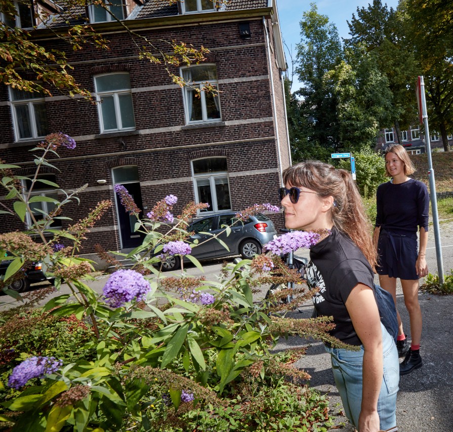 Geurwandeling: Op Zoek naar de Verloren Tijd