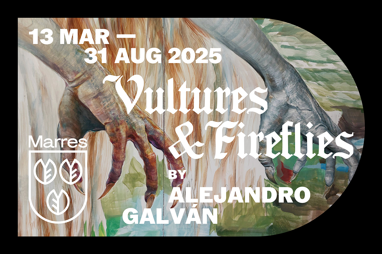 Alejandro Galván – Vultures & Fireflies