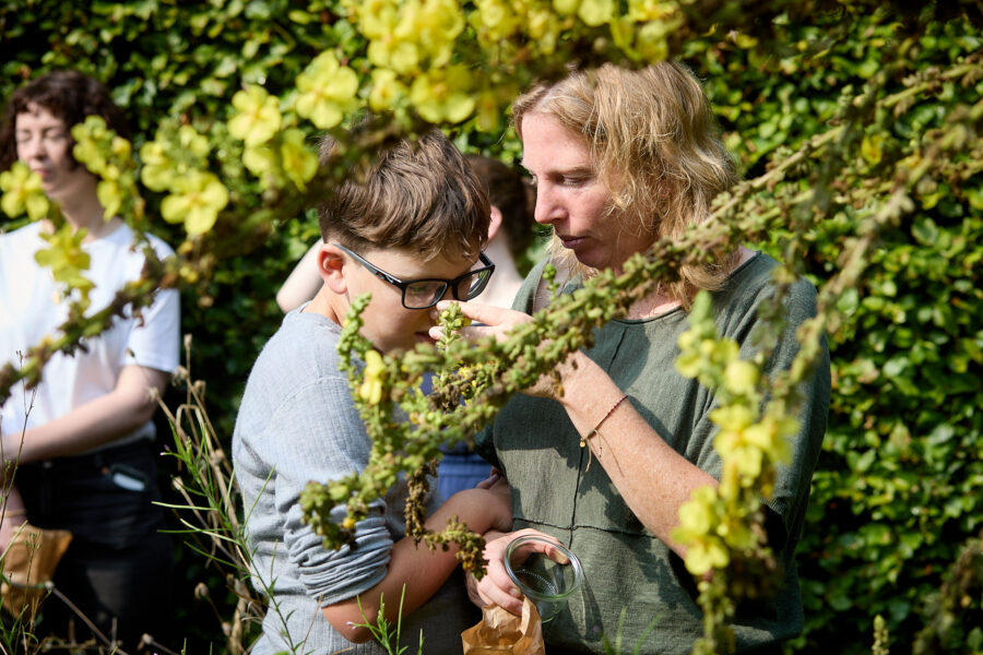 workshops Marres tuin