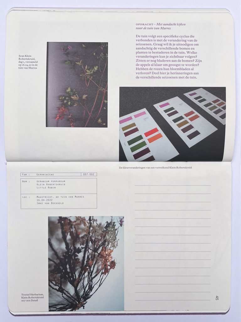 ommuurde-tuin-02