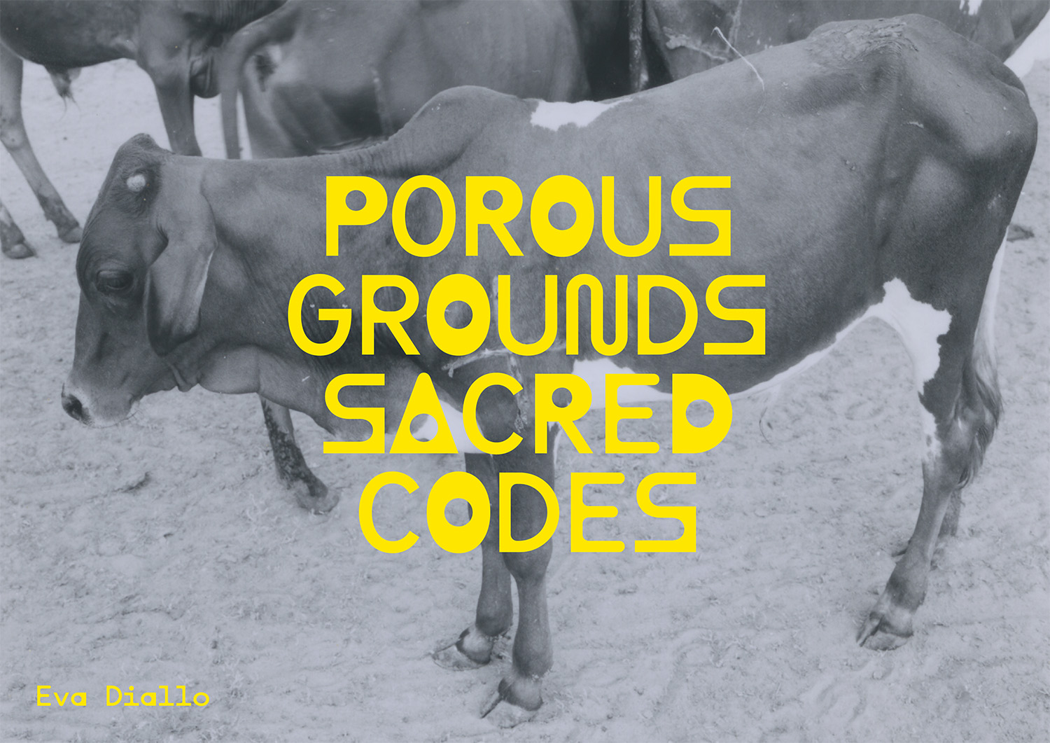 MAR_Porous Grounds_Liggend_Kunstenaar_2